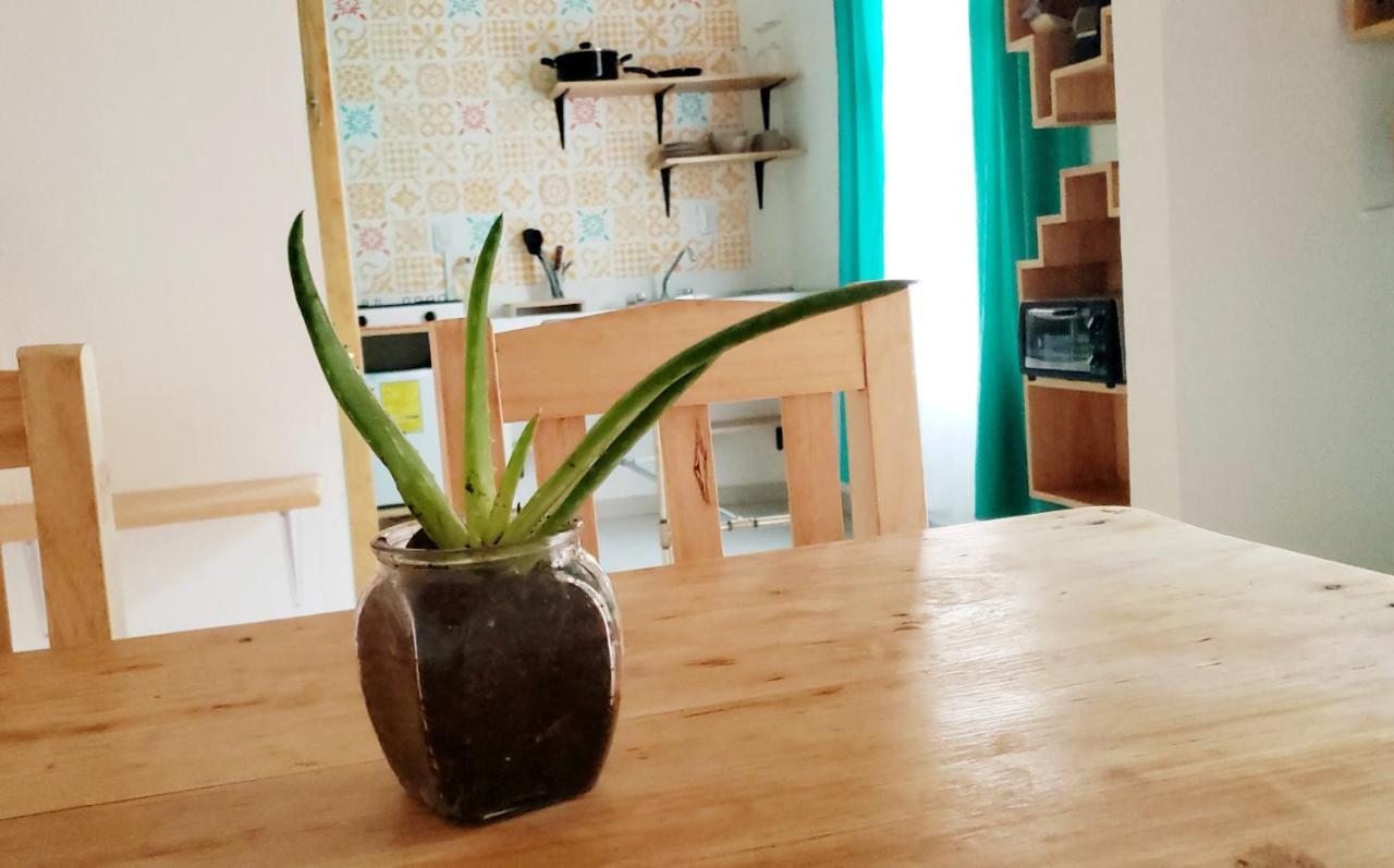 Kukul'Ik Tapancos Appartamento San Cristóbal de Las Casas Esterno foto